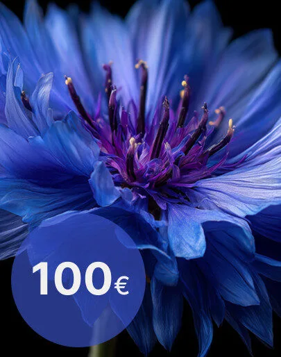 Dāvanu karte 100 EUR - Ideāla dāvana no La Bluette!