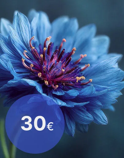 Dāvanu karte 30 EUR - Ideāla dāvana no La Bluette!